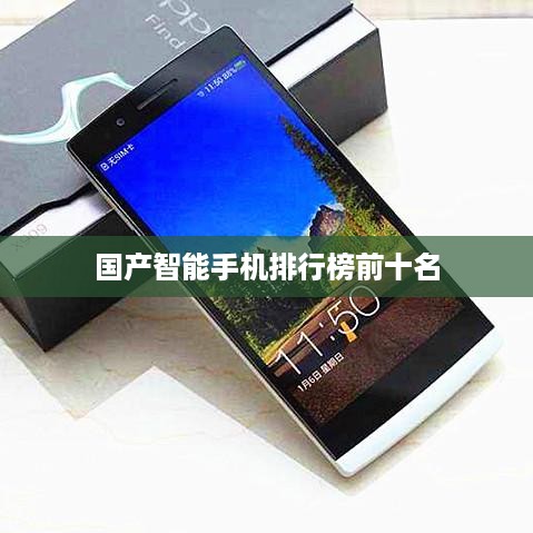 国产智能手机排行榜前十名