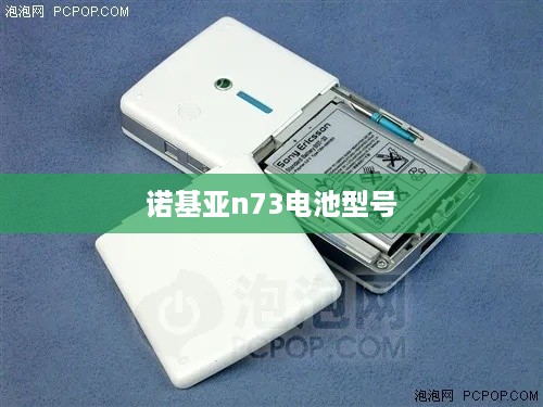 诺基亚n73电池型号  第1张