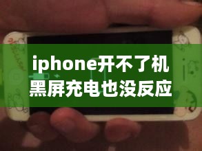 iphone开不了机黑屏充电也没反应