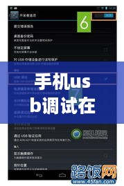 手机usb调试在哪里