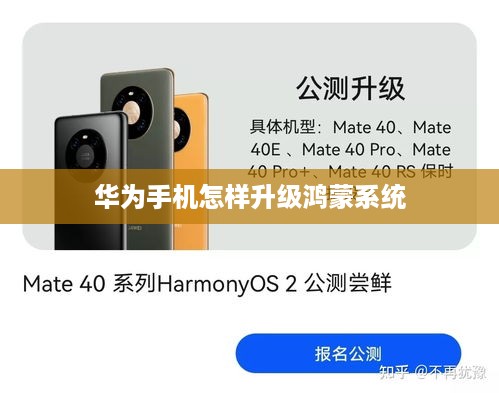 华为手机怎样升级鸿蒙系统