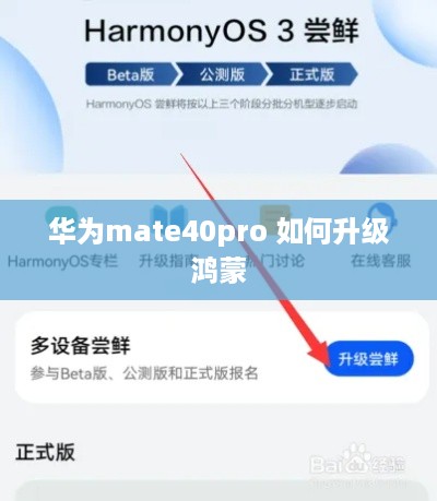 华为mate40pro 如何升级鸿蒙