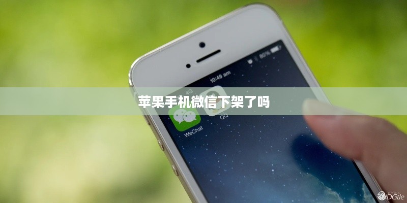 苹果手机微信下架了吗