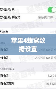 苹果4蜂窝数据设置