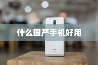 什么国产手机好用