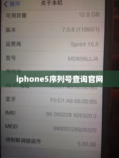 iphone5序列号查询官网