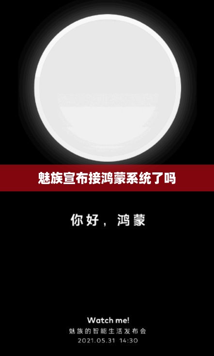魅族宣布接鸿蒙系统了吗