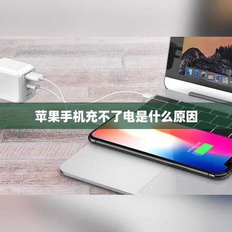 苹果手机充不了电是什么原因