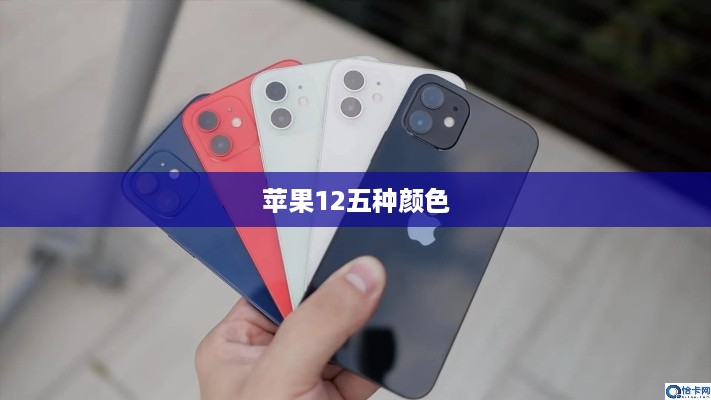 苹果12五种颜色