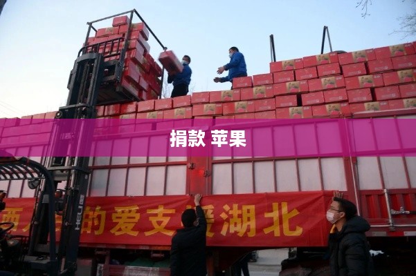 捐款 苹果