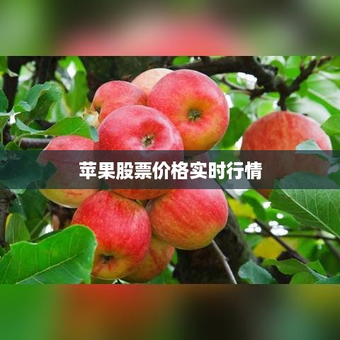 苹果股票价格实时行情