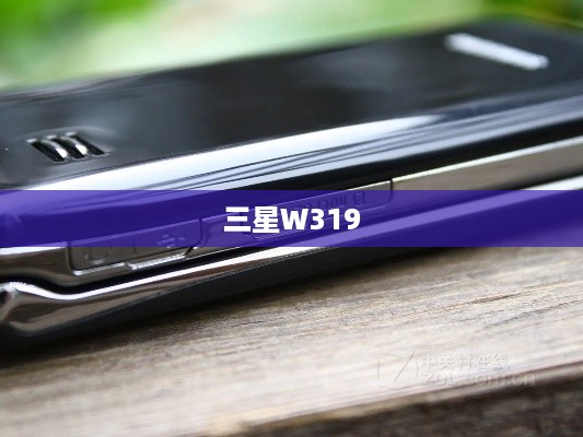 三星W319