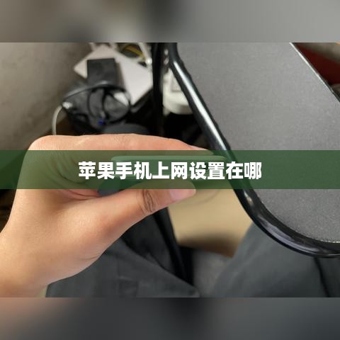 苹果手机上网设置在哪