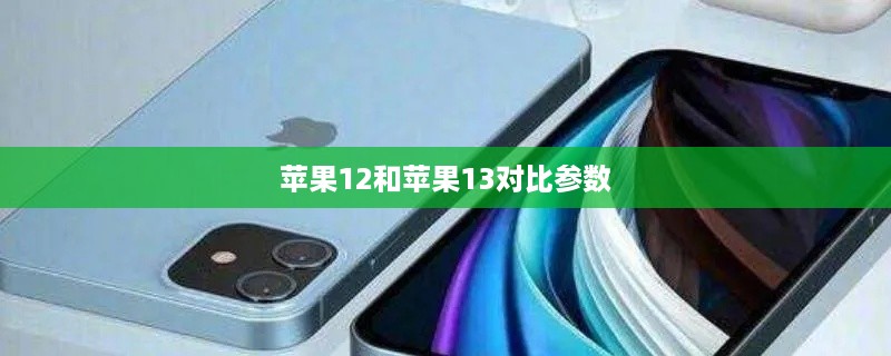 苹果12和苹果13对比参数