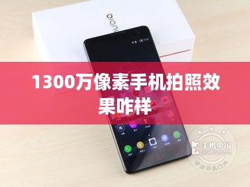 1300万像素手机拍照效果咋样