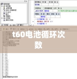t60电池循环次数