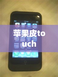 苹果皮touch