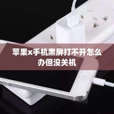 苹果x手机黑屏打不开怎么办但没关机