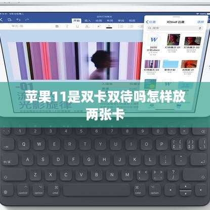 苹果11是双卡双待吗怎样放两张卡