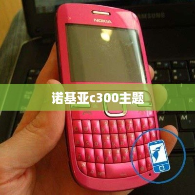诺基亚c300主题