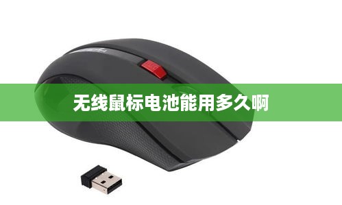 无线鼠标电池能用多久啊