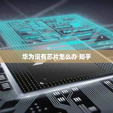 华为没有芯片怎么办 知乎
