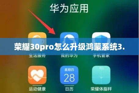 荣耀30pro怎么升级鸿蒙系统3.0