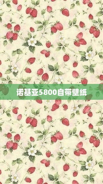 诺基亚5800自带壁纸