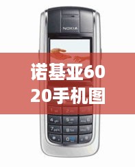 诺基亚6020手机图片  第1张