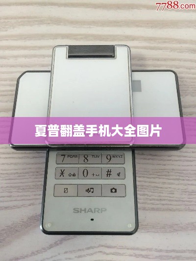 夏普翻盖手机大全图片  第1张