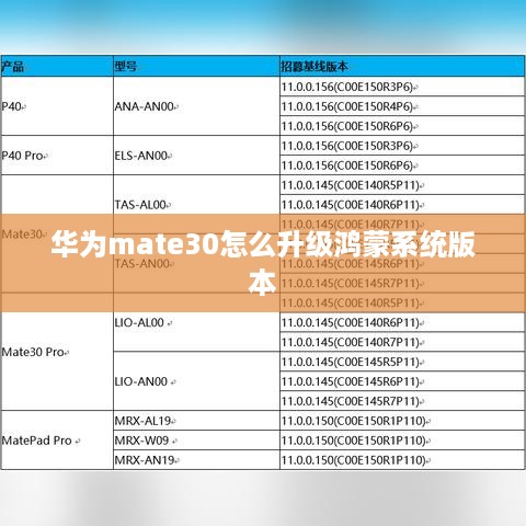 华为mate30怎么升级鸿蒙系统版本