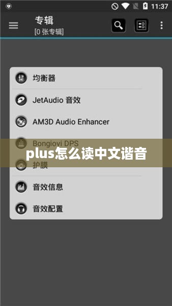 plus怎么读中文谐音  第1张