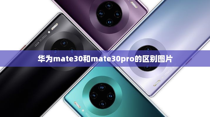 华为mate30和mate30pro的区别图片  第1张