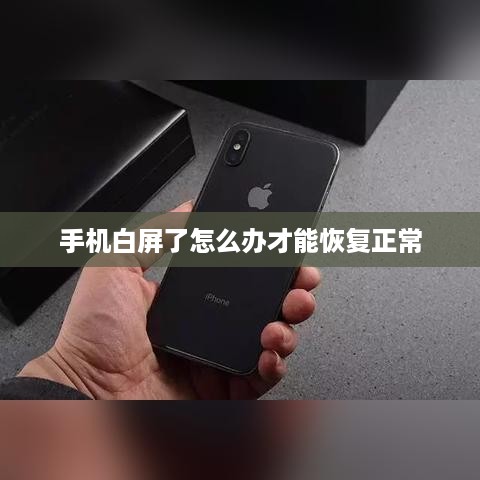 手机白屏了怎么办才能恢复正常