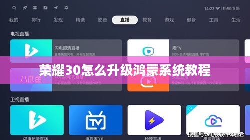 荣耀30怎么升级鸿蒙系统教程  第1张