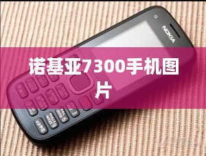 诺基亚7300手机图片