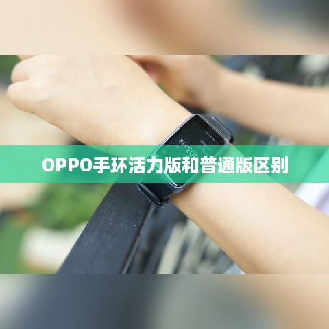 OPPO手环活力版和普通版区别