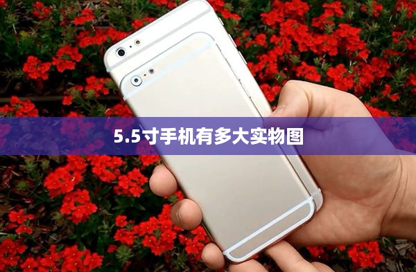 5.5寸手机有多大实物图