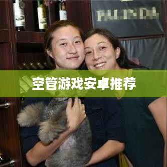 空管游戏安卓推荐