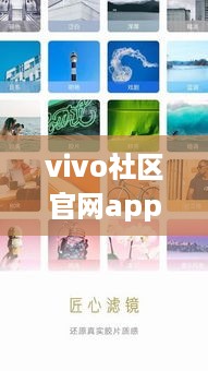 vivo社区官网app下载