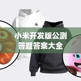 小米开发版公测答题答案大全