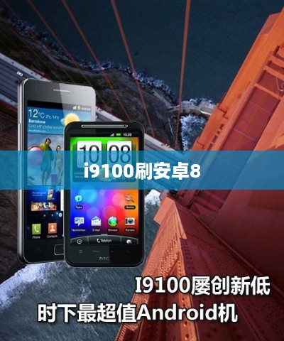 i9100刷安卓8