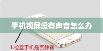 手机视屏没有声音怎么办