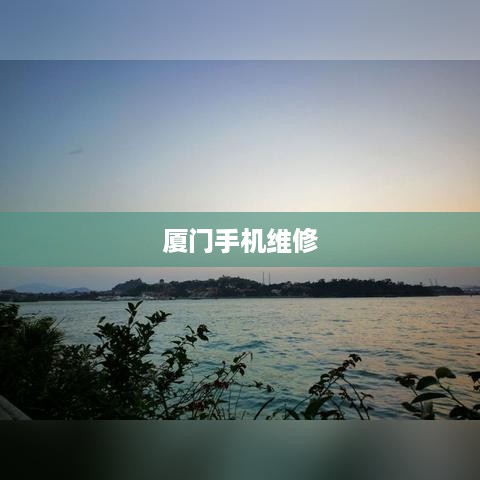 厦门手机维修