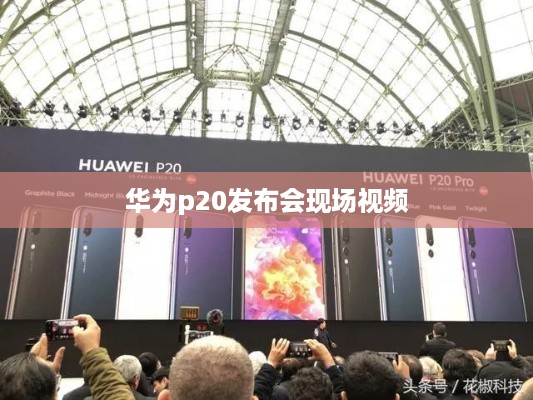 华为p20发布会现场视频