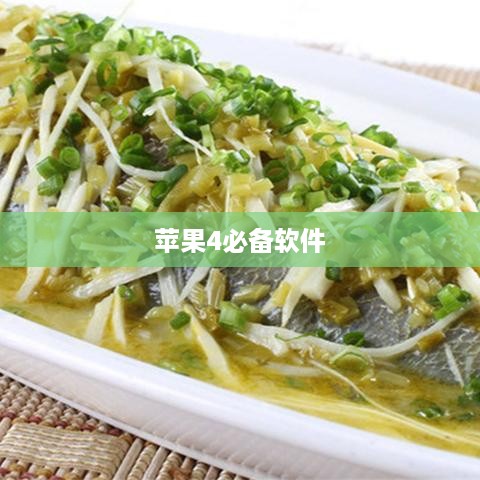 苹果4必备软件  第1张