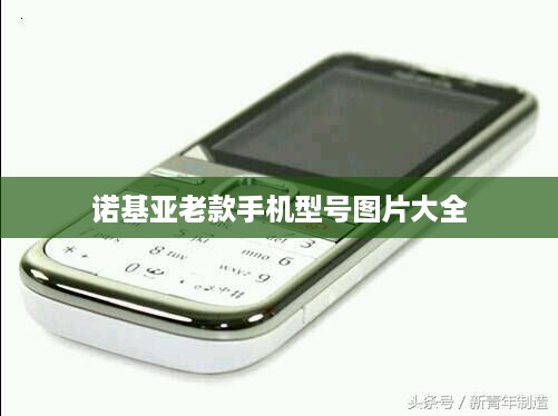诺基亚老款手机型号图片大全  第1张