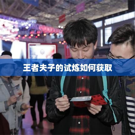 王者夫子的试炼如何获取