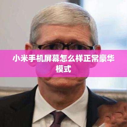 小米手机屏幕怎么样正常豪华模式
