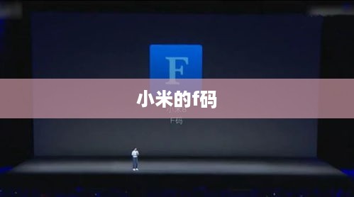 小米的f码